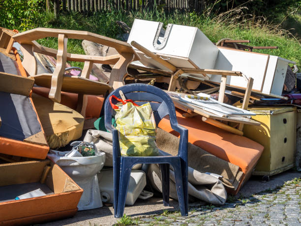 Best Electronics Removal Services  in Woodbine, IA